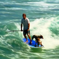 二匹のワンコと一緒にSUPでタンデムライディング＠オーストラリア