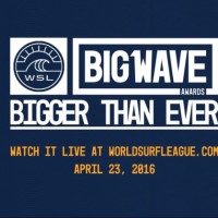 2016年WSLビッグウェイブアワードのノミネート映像1