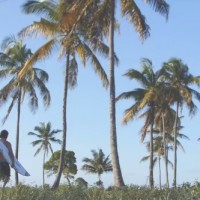 ジョーディ・スミスのダーバン（南アフリカ）&モザンビークでのフリーサーフ動画