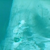 リーフの「Just Passing Through」シリーズ第二弾:ミッチ/アダム/エヴァン@バリ