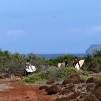 進め!ケパ・アセロ:ガラパゴス諸島編3~新たな仲間と貸切サーフ~@2016