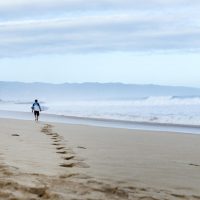 デーン・レイノルズとクイックシルバーが結んでいた契約内容(主に金額)が明らかに