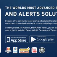 サメの目撃情報アプリ「Dorsal」が対象範囲をアメリカやハワイへ拡大