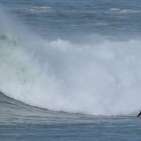 オフシーズンの冬にジェレミー・フローレスが見せたビーチブレイクセッション@フランス