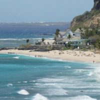 レユニオン島で再び発生したシャークアタック！2011年以降で19件目