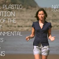 綿棒をプラスチック製から紙製へ!イギリスのビーチクリーン運動