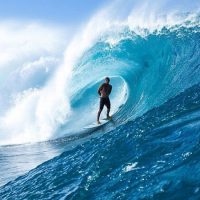 クレイ・マルゾが横領の被害に!家や預金を失い被害額は40万ドル以上