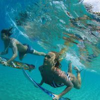 エリー・ジーン・コフィーが姉弟で訪れた10月後半のテロス（インドネシア）