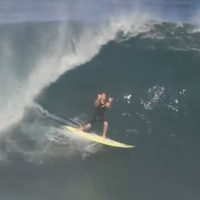 <必見>メイソン・ホーの魅力が詰まった過去一年ほどのコンピレーション動画