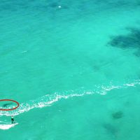 西オーストラリアでカイトサーフィン中にホホジロザメが出没！ドローンが収めた一部始終