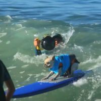 サーファードッグが派手なワイプアウトを見せながらも攻めるハードチャージ動画