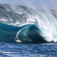 2017年WSLビッグウェイブアワードのノミネート作品が発表