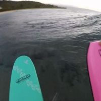 ジェイミー・オブライエンの新サーフスタント!ハンドプレーンへとボードトランスファー