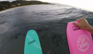 Board-Transfer-Handplane- Board-Transfer-Handplane-