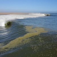 2017年シーズンのスケルトンベイ(ナミビア)!レフトのロングバレルが覚醒