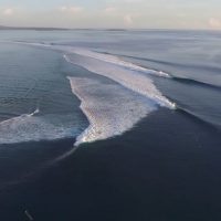 2017年6月もメンタワイはパーフェクトブレイク!ランスズ・ライト、マカロニ、テレスコープ