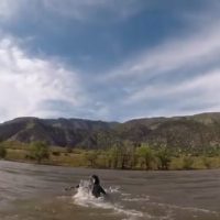 シェーン・ドリアンが息子のジャクソンとリバーサーフィン＠米国コロラド州