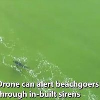 海上も海中も危険がいっぱい！一人のサーファーに二つの事故が襲い掛かるアクシデント動画