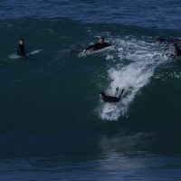 7月後半にケープフィア(シドニー)がブレイク!癖波でパドルインセッション