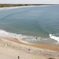 アルガンベイ(スリランカ)でクロコダイルアタック:イギリス人男性が命を落とすことに