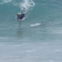 サメと波の取り合い!?西オーストラリアでボディボーダーがサメと接触寸前