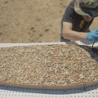 ポイ捨てされたタバコの吸い殻を再利用！？ヴィスラのアップサイクルコンテスト