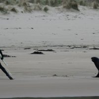 アルビー・レイヤーがローカルに脅される！？マウイボーイズのニュージーランドトリップ