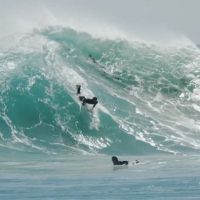 クイックシルバー期待の若手!ケール・ウォルシュのフリーサーフ動画