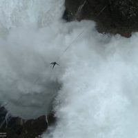 ビッグウェイブが打ち付けるナザレで危険過ぎるスラックライン