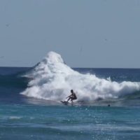 ディラン・グレイヴスが発見したノベルティウェイブ！フリーサーフ動画