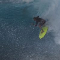 数年後のライバル!ジョンジョン・フローレンスとマイキー・ライトのバックドア動画