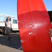 マーギーズプロ会場近くで一日に二人のサーファーがシャークアタック被害に