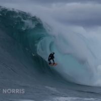 豪トップレベルのミュータントウェイブ「シップスターン」がアーリーシーズンに覚醒