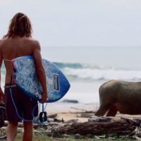 アッシャー・ペイシーがインドネシアへ!2018年4月のシメルー島動画