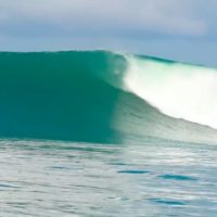 今年からフリーサーファーとなったジョシュ・カーのメンタワイでのフリーサーフ動画