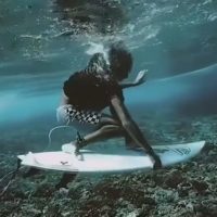 このダックダイブ動画はクール！マイケル・フェブラリーのスタイル