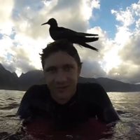 チョープーローカル情報から究極の質問まで!「No Contest」タヒチ編