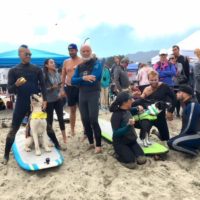 サーフィンドッグのチャンピオンシップ!今年は北カリフォルニアで開催