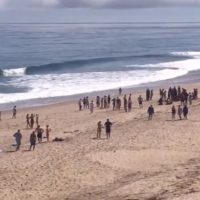 アメリカ東海岸マサチューセッツにてシャークアタックが発生し被害者が死亡