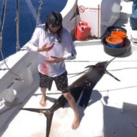 エアショーに引っ張りだことなるマット・メオラ!メンタワイでのフリーサーフ動画