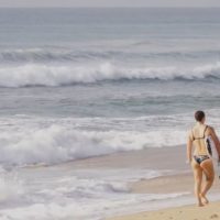 パーフェクトライトのザ・スネーク再び!ミックとタイラーのサーチトリップ