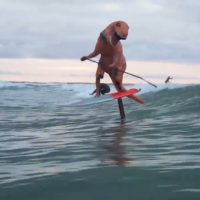 ティラノサウルスがデンマークに出没！？ハイドロフォイルサーフィン動画