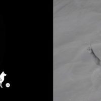 ブレット・バーリーがテストを重ねたスーパーブランド新モデル「PigDog Pro」