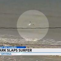 フロリダでレアなタイプのシャークアタックが発生！被害サーファーは軽傷
