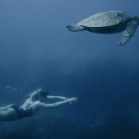 ノースショア出身サーファーガールのゾーイ・マクドゥーガル！フリーサーフ動画