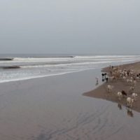 ナチョのシークレットライトを求めてインドの無人島へハードコアトリップ