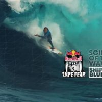 癖が強すぎるシップスターンのミュータントウェイブのメカニズムとは