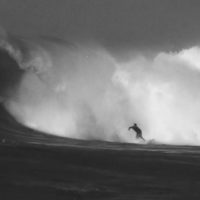 アレックスとウェイドのCIライダーがミクロネシアへ！ビッグバレル動画