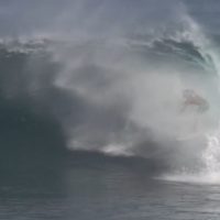 今季のラスト!18/19年WOTW2月のトップ3ライディング動画が発表