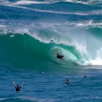 ブラジルで発見されたミュータントウェイブのトウインサーフ動画